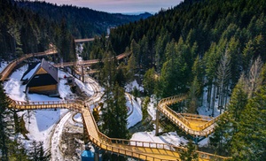 Odkryj magię natury w Centrum Przyrodniczo-Edukacyjnym Brama w Gorce