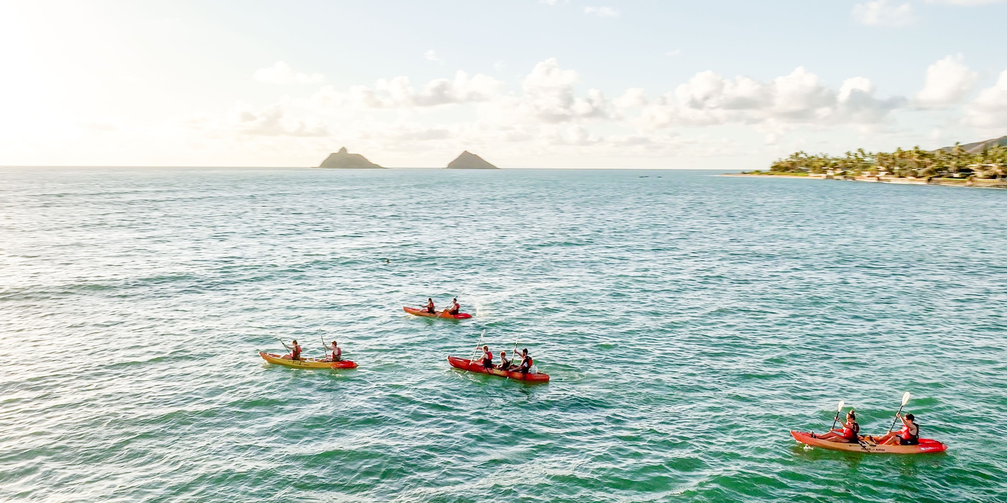 Guided Kayak and E Bike Tour to Popoia Island Bird Sanctuary