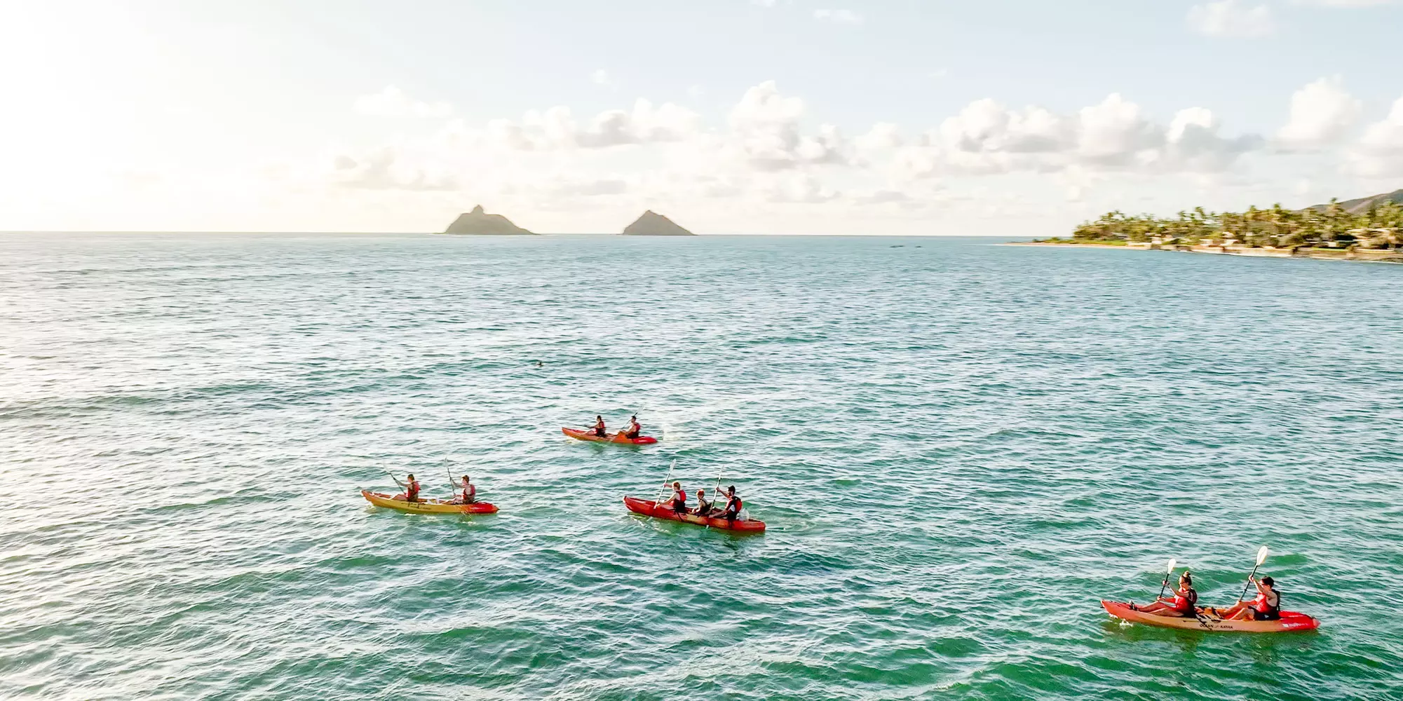 Explore Oahu's Pristine Waters: Guided Kayak and E Bike Tour to Popoia Island with Marine Life Encounters - Primary Image