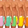Purple, Pink, Green + Lime, Yellow, Orange