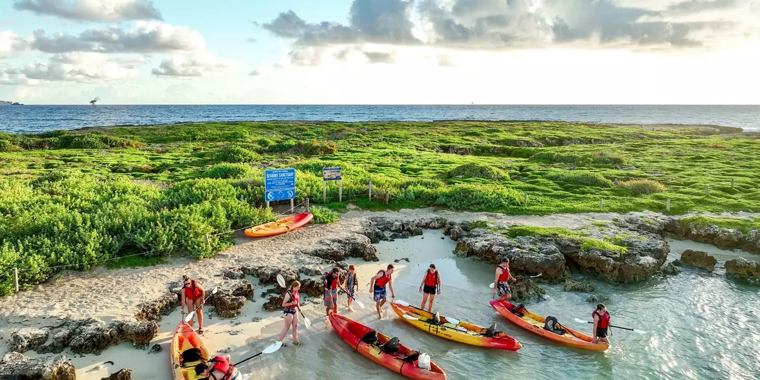 Guided Kayak and E Bike Tour to Popoia Island Bird Sanctuary