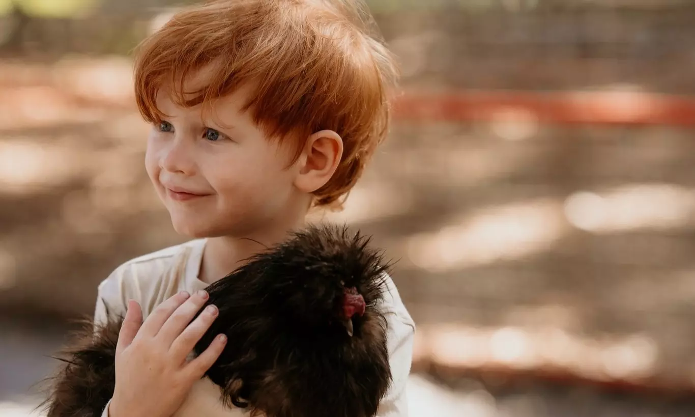 Up to 31% Off Petting Zoo Farm Experience at Green Meadows