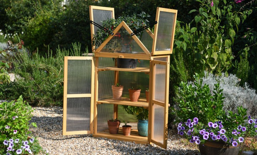 Image 10: Garden Gear Wooden 3-Tier Greenhouse or XL Cold Frame