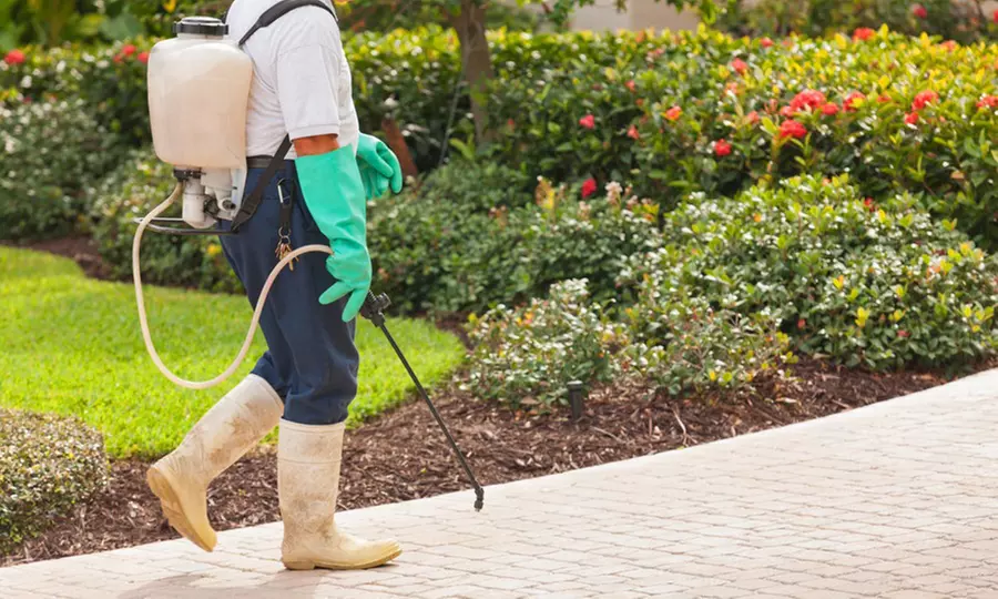 Interior & Exterior Pest Prevention Treatment Up To 3000 or 6000 Sq ft