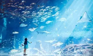 Explore the Lost World Aquarium at Atlantis – Entry Tickets for Kids, Adults & Families (Up To 56% Off)