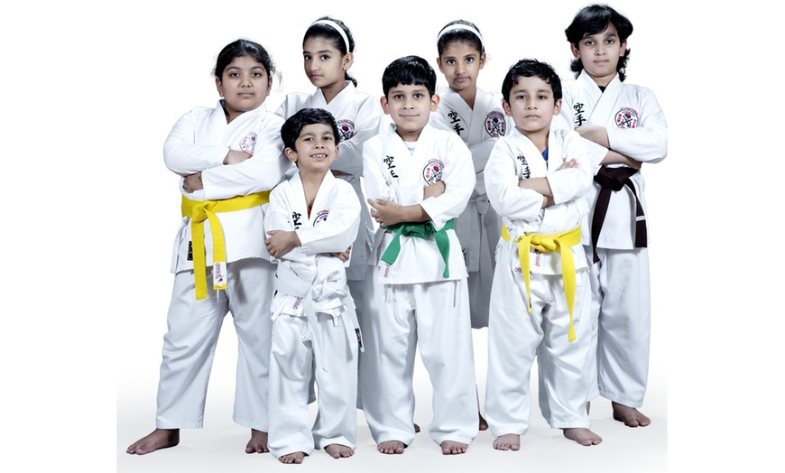 Image 2: 1, 4, or 8 Skill-Building Karate Sessions for Children 5 Years & Older