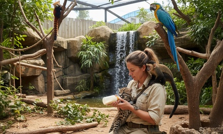 Curso online de cuidador de animales exoticos - GRUPO MENTA SIGLO XXI