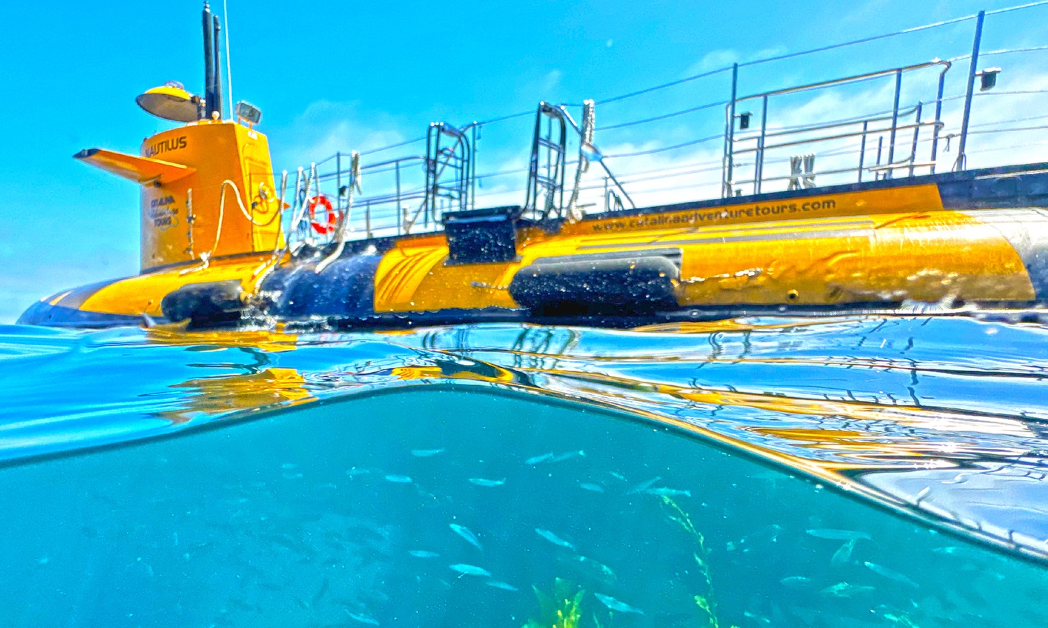 Nautilus Semi-Submarine Tours—Fun for Kids, Adults & Seniors!
