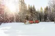 Magically Breathtaking Winter Sleigh Adventure in the Canadian Rockies w/ Majestic Buffalo Sightings & Hot Chocolate - Second Medium