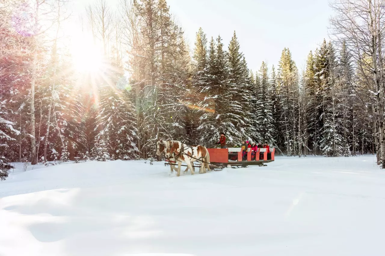 Magically Breathtaking Winter Sleigh Adventure in the Canadian Rockies