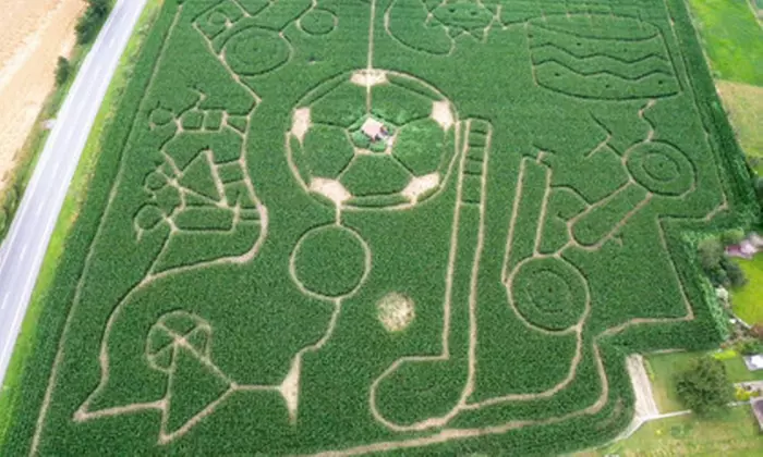 Tageskarte für den Erlebnishof Borgholzhausen für 2 oder 4 Personen