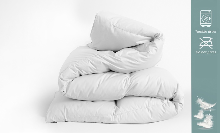 Image 5: Sampur dekbed van 100% ganzendons 