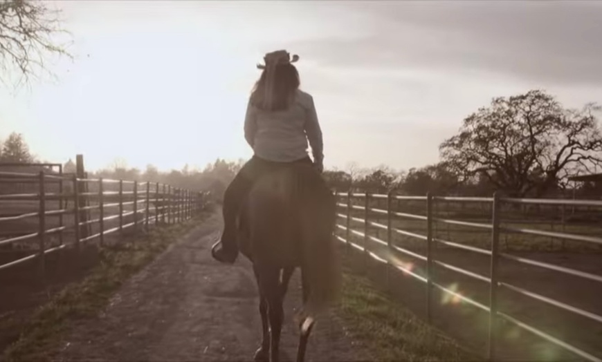 Image 9: Discover Private Horseback Riding Session or Intro to Horses & Riding