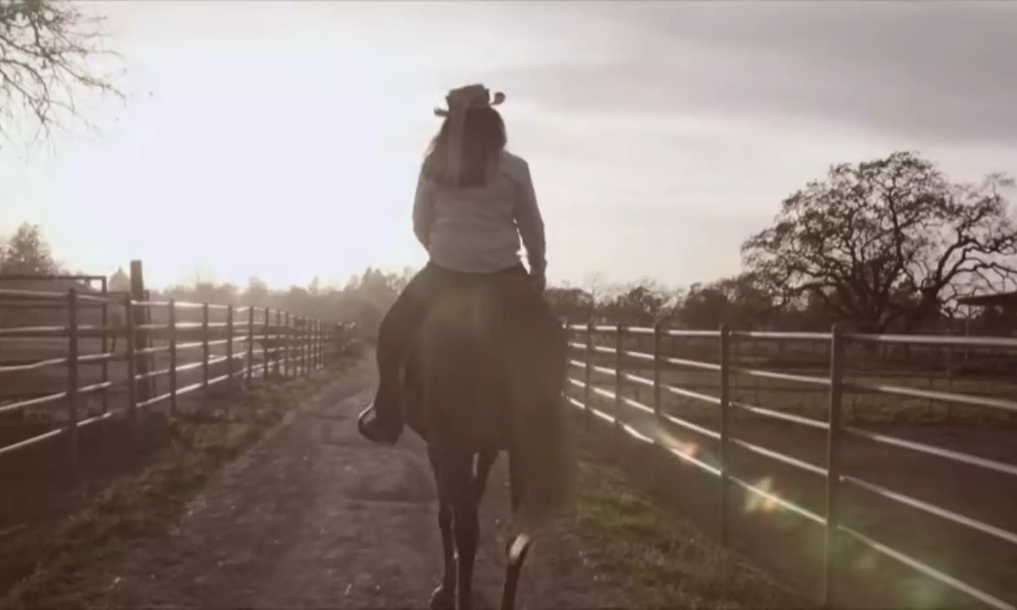 Discover Private Horseback Riding Session or Intro to Horses & Riding