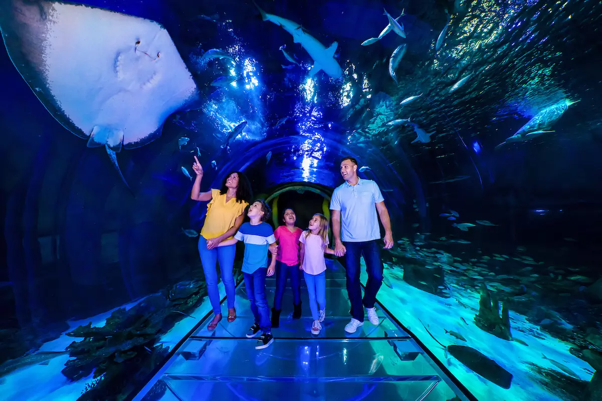 ICON Park Attraction Deals - Madame Tussauds, SEA LIFE, Orlando Eye Discounts