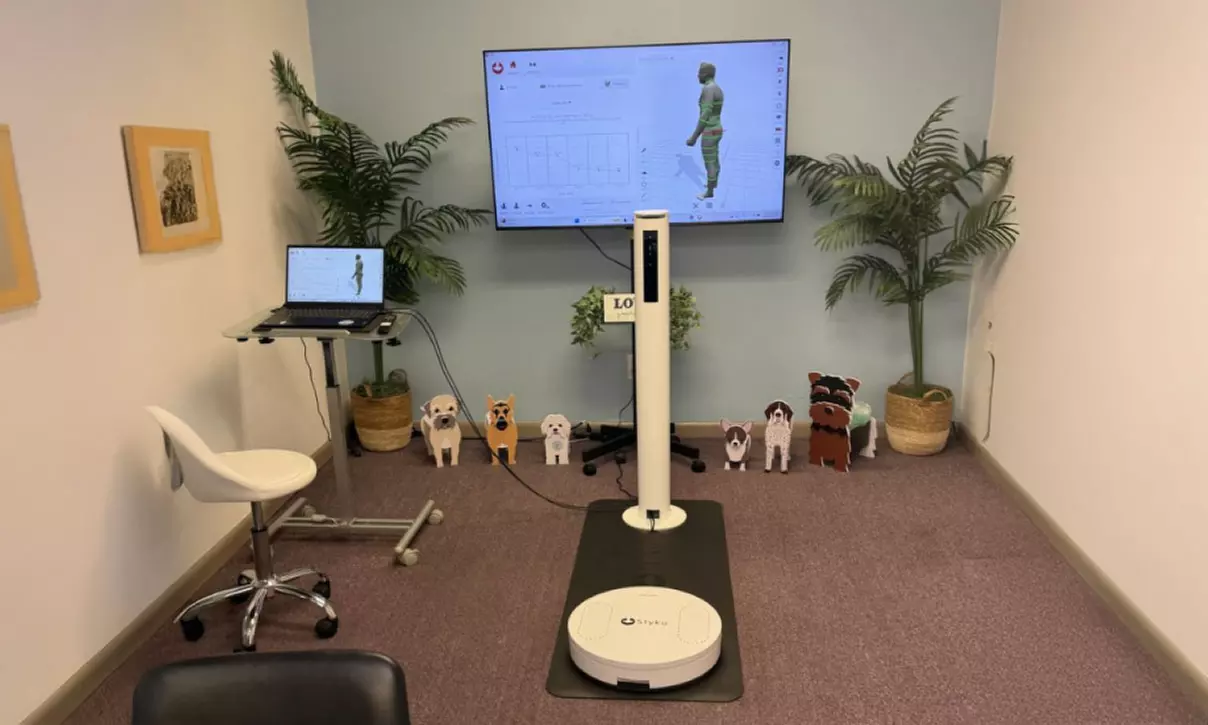 30-Minute T-Shape 2'' Massage with Optional Styku 3D Body Scan for One