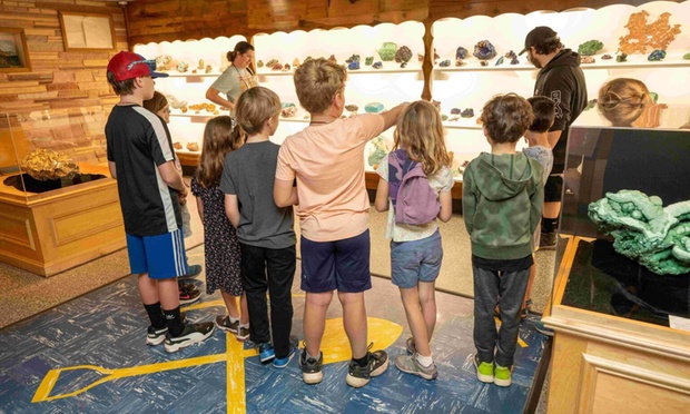 What to expect media