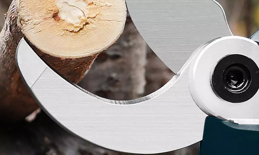 Forbici elettriche professionali per potatura