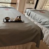 Image 2: 120-Minute Deluxe Body Massage Package for One or Couples
