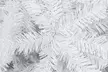  Christmas Tree 7FT Iron Leg White Christmas Tree with 950 Branches - Second Medium
