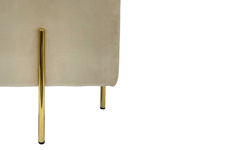 Image 4: Pouf contenitore in velluto