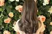 Revamp Your Hair: Single Process Color, Half Head or Full Highlights or Balayage with Style ( Up to 50% Off ) - Second Medium