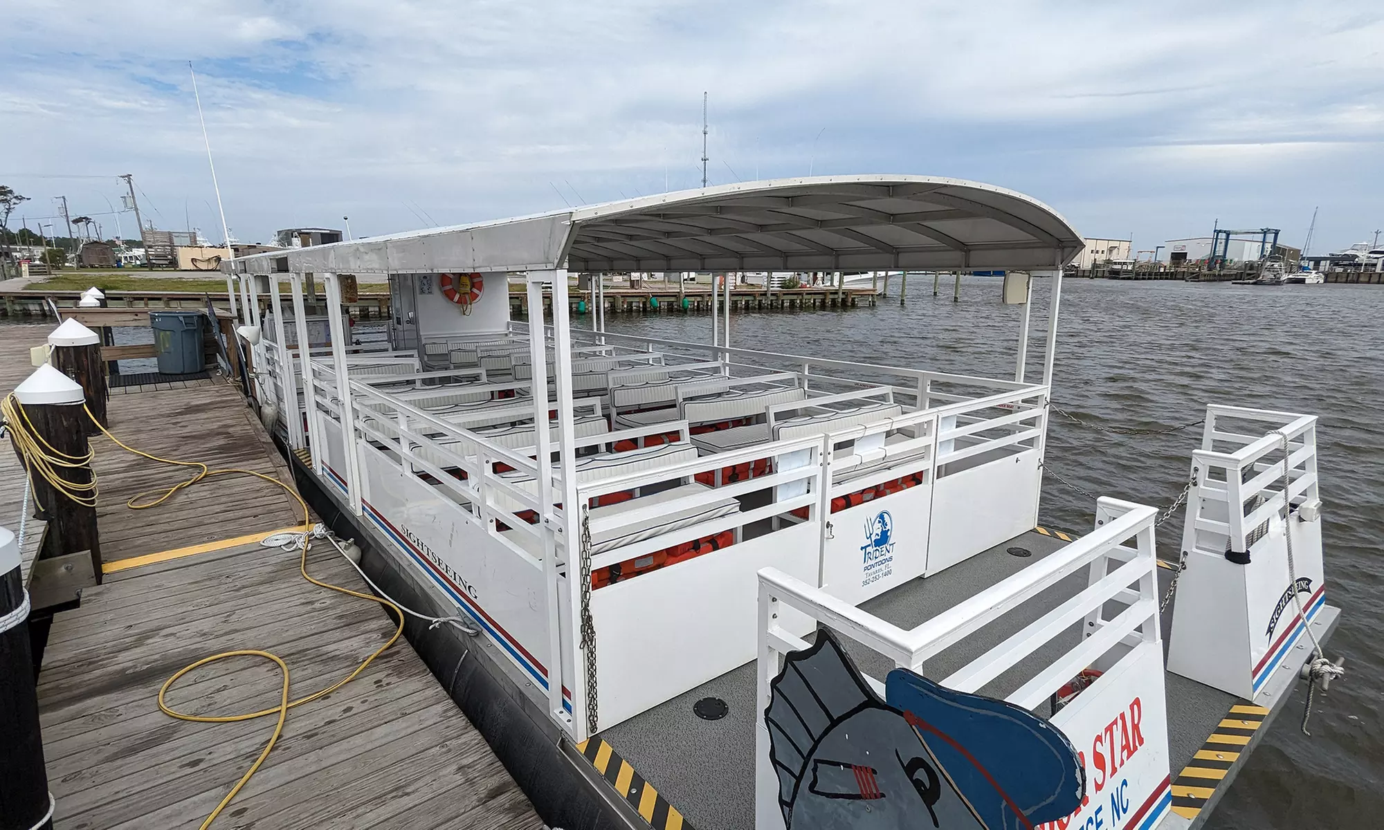 2 Hour Dolphin Daytime Tour 
