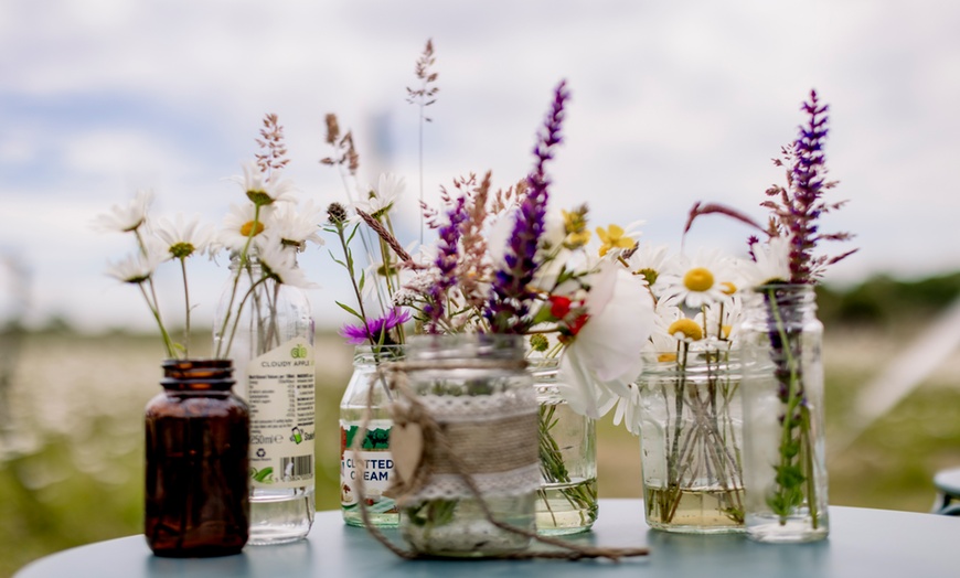 Image 8: Discover Beautiful Lavender Fields & Afternoon Tea at Finchingfield Camping with Up to 33% Off!