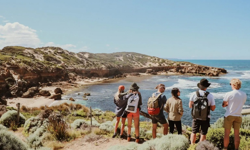 Image 3: Scenic Clifftop, Bay or Rainforest Picnic Hikes with Gourmet Lunch 