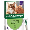 Image 2: Antiparassitario Spot-on per gatti e conigli Advantage