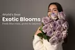 Rosaholics - Premium Rose Bouquets & Exotic Flower Arrangements Perfect for Any Occasion Up to 71% Off - Second Medium