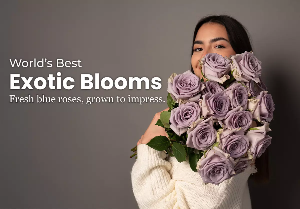 Rosaholics - Stunningly Unique Rose Bouquets & Exotic Flower Arrangements Up to 74% Off on Flower Delivery