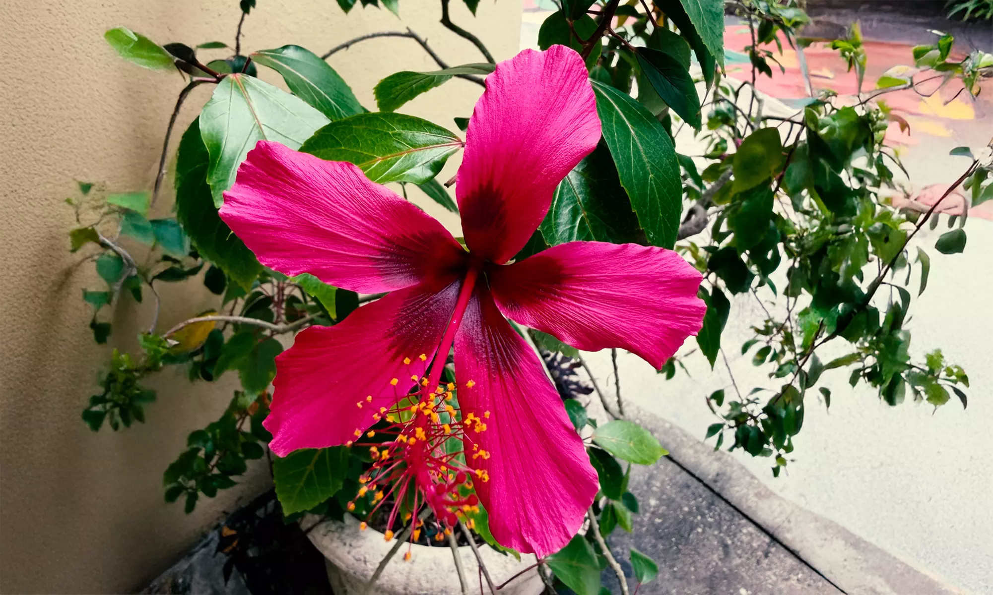 Sunken Gardens Admission & Family Membership Deals (Up to 35% Off)