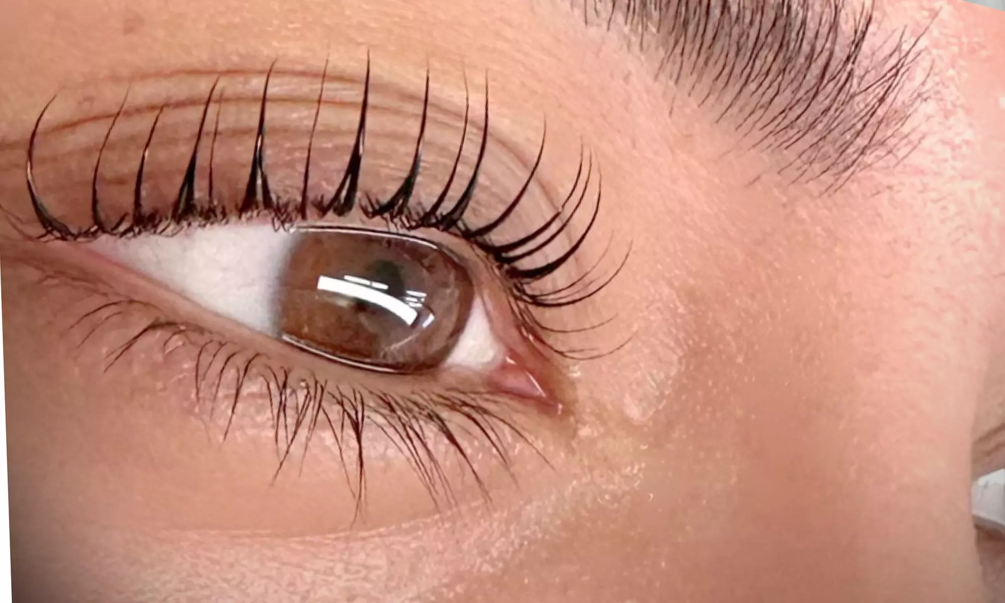 Holiday Lash Glam – Natural Classic/Custom Premium Lifts for Radiance