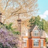Image 1: Explore Hampstead Village with a 90-Minute Walking Tour for One or Two