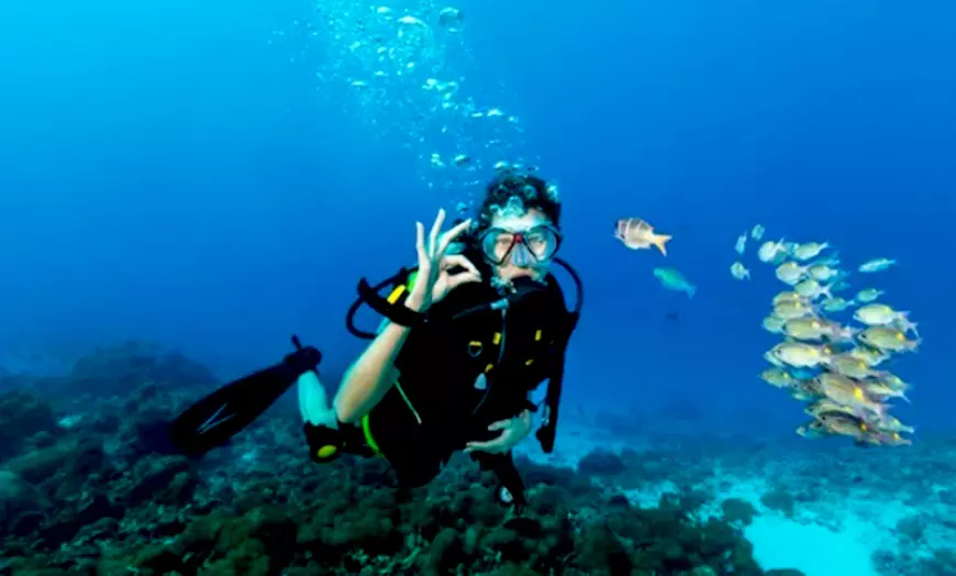Image 1: Bautismo de buceo con casi 1 hora de inmersión para 1 o 2 personas