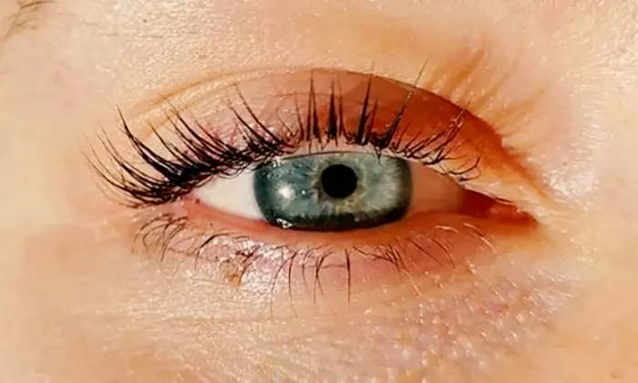 Wimpern- und/oder Augenbrauen-Lifting inkl. Färben für 1 Person