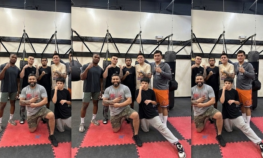 Image 8: Boxing Classes & Private Lessons in Mesa