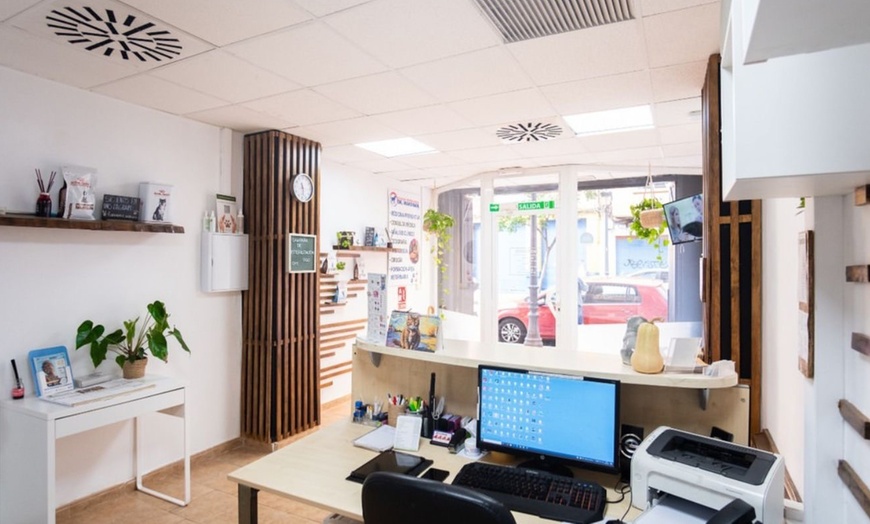 Image 3: Sesión de peluquería canina para perros de hasta 6, 15 o 30 kg