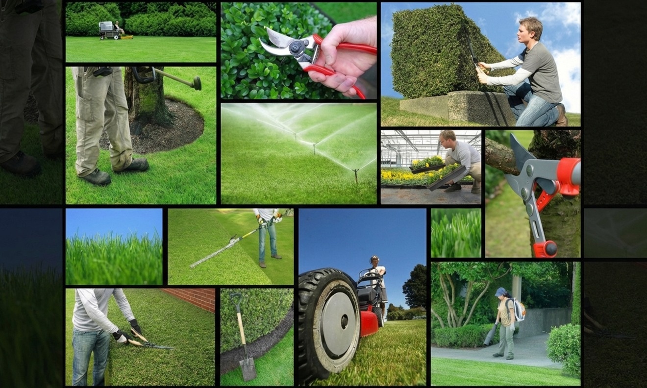 Get 2 Men/ Starter Kit Grass Cutting and Light Cleaning for 1200 Ft.²