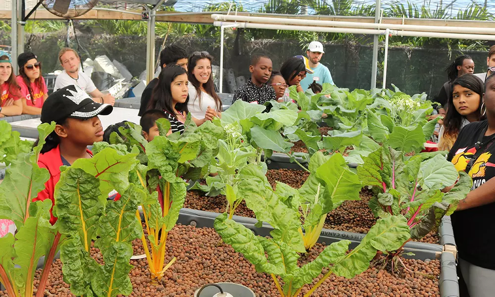 Up to 27% Off on Farm Tour at Together We Stand Inc