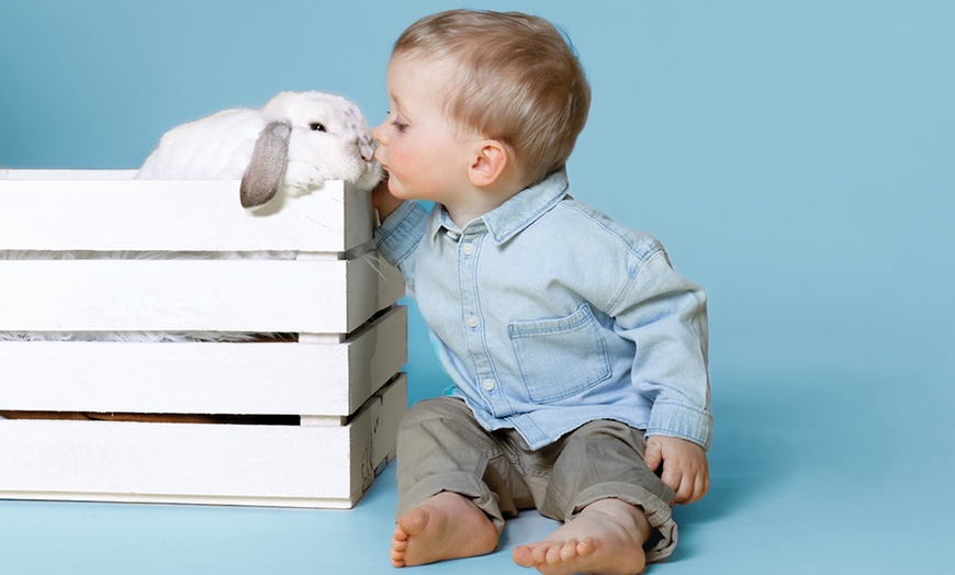 Image 6: Sommer-Special: Fotoshooting inkl. Bildern