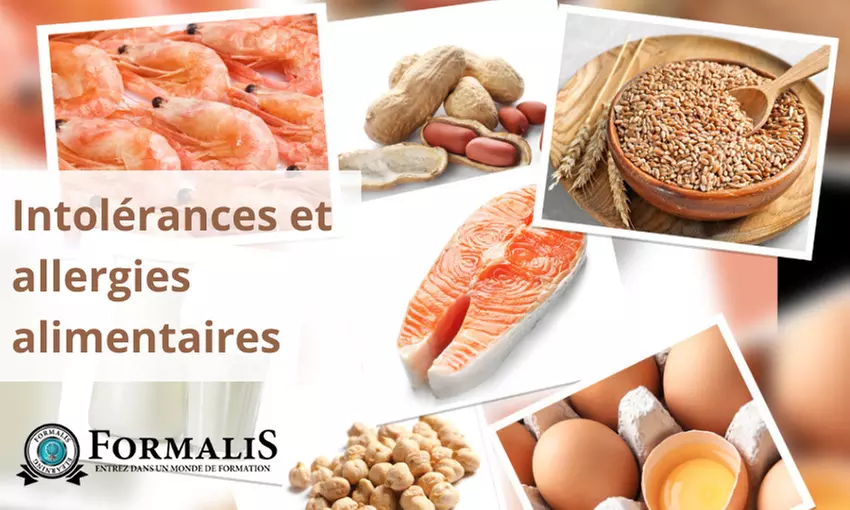 Formation sur les allergies et intolérances alimentaires : cuisinez en toute sécurité (61% de remise) - Primary Image