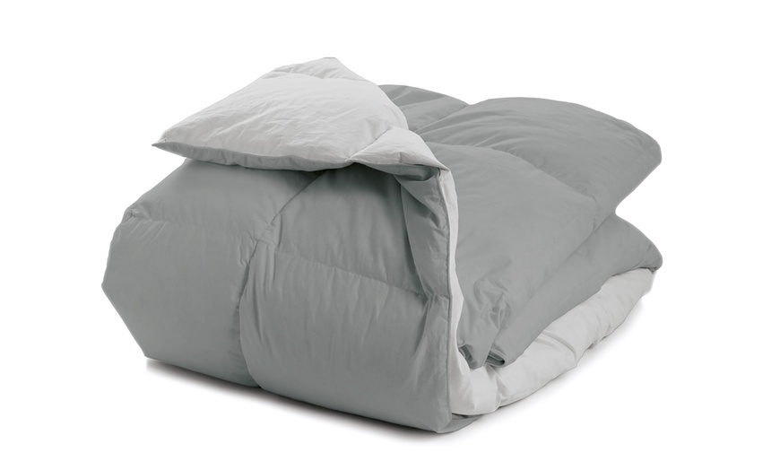Image 2: Couette d’hiver réversible avec 90% plumes d’oie
