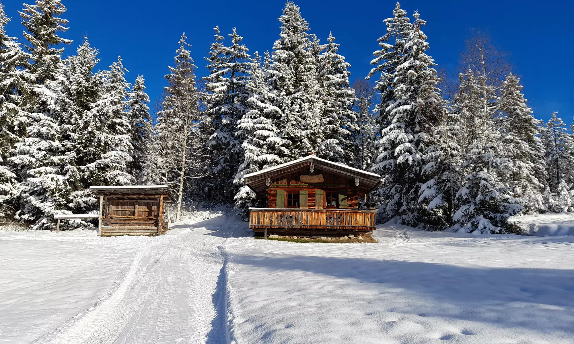 2 Std. winterlich-romantische Pferdekutschen-Fahrt für 2 - 6 Personen