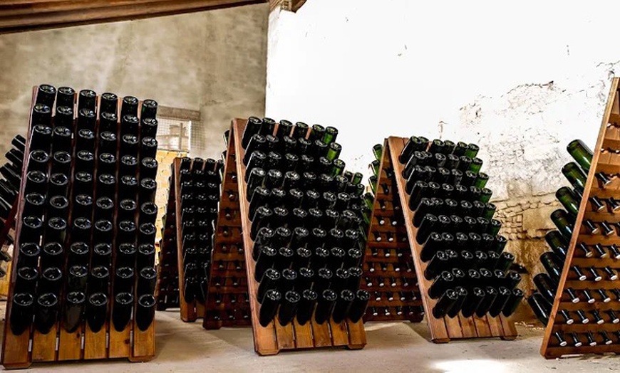 Image 5: Visita a bodega y cata de 5 vinos premiados o almuerzo/cena para 2 o 4