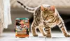 Chef Scoochie's Recipe Cat Food in a Savory Gravy - 12 Pack