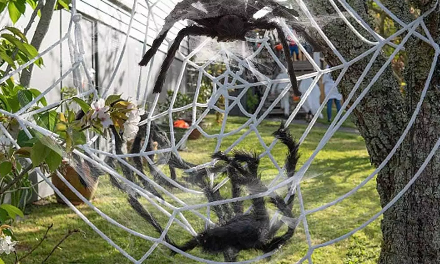 Large Fake Spider Web with Giant Hairy Spider Props Scary Halloween Decor