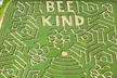 Explore the BEE KIND Corn Maze at Twins BBQ Co. for Family Fun and Challenging Navigation Adventures - Second Medium
