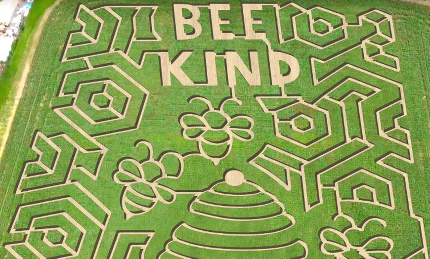 Image 4: BEE KIND Corn Maze Adventure at Twins BBQ Co